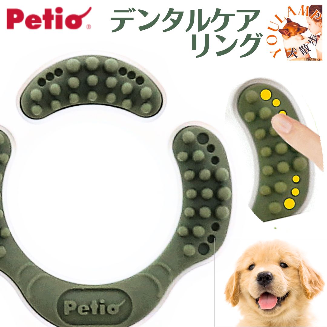 楽天犬　散歩　ユウランプ犬 歯みがき おもちゃ かんでる リング デンタル ハード ペット用品 デンタル 超小型犬 歯磨き 小型犬 ハードタイプ ペティオ かんでるリング shop