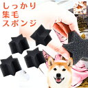 犬 スポンジ 集毛 洗濯用 ペット 抜け毛対策 衣類 タオル スポンジ 洗濯 集毛 4個入り しっかり集毛スポンジ 犬の服 プレゼント グッズ ユウランプ