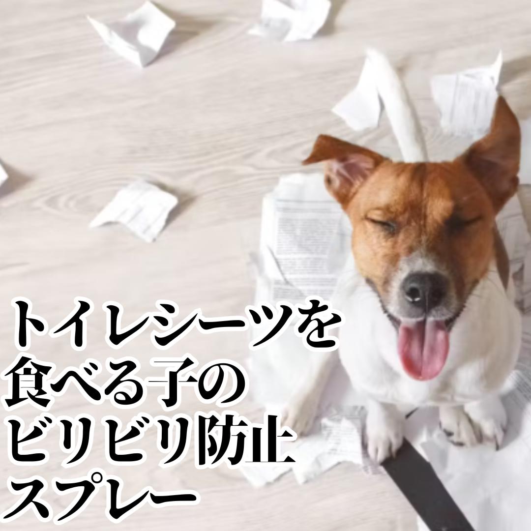 犬 しつけ トイレ シーツ いたずら防止 送料無料 ビリビリノン 100ml 強力苦味成分...