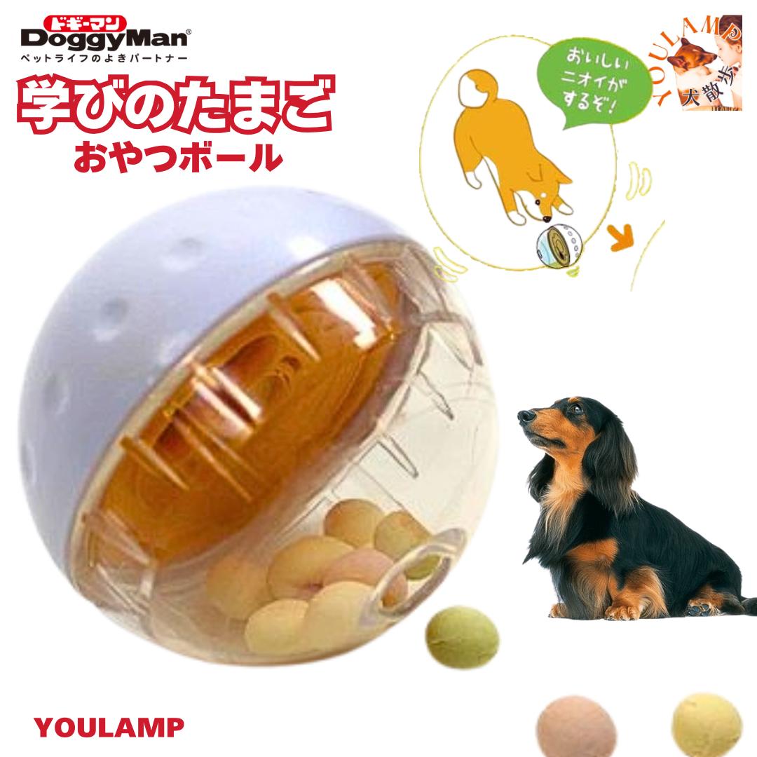 犬 知育玩具 おやつ ボール 送料無料 考えて遊ぶ 学びのたまご 早食い防止 餌入れ ストレス解消 エサ お留守番 遊び 飽きない ドギーマンハヤシのサムネイル