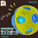 犬 おもちゃ ボール リッチェル Richell ナーフドッグ ライトボール 超小型犬~中型犬用 ポッキリ送料無料 ポイント消化 プレゼント グッズ ユウランプ お中元 ギフト