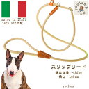 犬 リード イタリー製 ハーフチョーク リード スリップリード 本革 首輪 リード 一体型 160mm 丈夫 小型犬 中型犬 おしゃれ お中元 ギフト