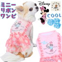 犬服 ペット用 夏 COOL 小型犬 クール ミニー リボン ワンピース 冷感 ひんやり ドッグウェア 日焼け対策 気化熱 かわいい レース おしゃれ