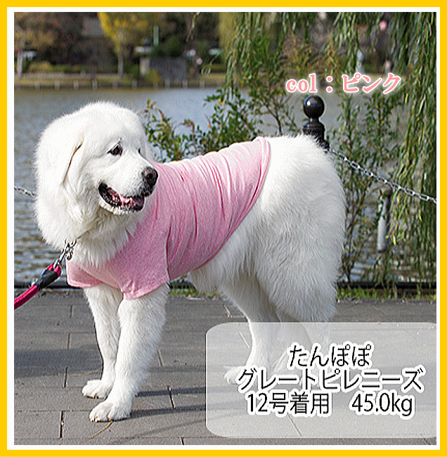 【バレンタインクーポン♪】大型 犬服 コットン Tシャツ 綿100％ 8号 10号 12号 very newドッグウェア giftbox入り抜け毛対策犬の服veryベリー ブランド 　犬 の 服 かわいい　オーガニック　着せやすい格安通販　バレンタイン　人気　ランキング