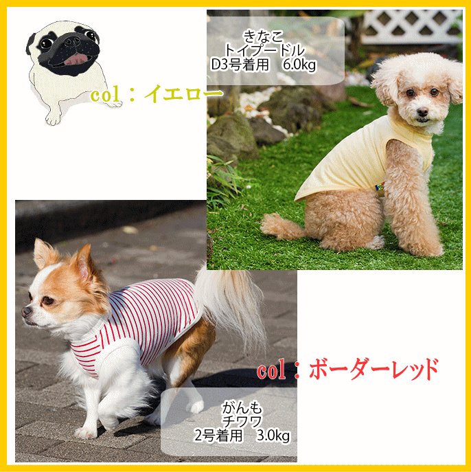 【バレンタインクーポン♪】犬服 コットン タンクトップ 　綿100％ very newドッグウェア giftbox入り抜け毛対策犬の服veryベリー ブランド 　犬 の 服 かわいい　オーガニック　着せやすい格安通販　バレンタイン　人気　ランキング