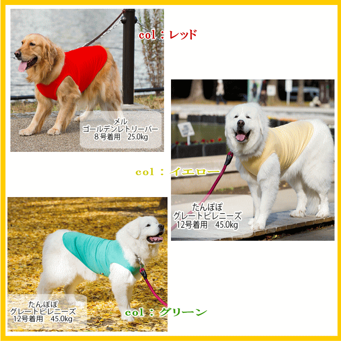 クーポン有　大型 犬服 コットン タンクトップ 綿100％ 8号 10号 12号 very newドッグウェア giftbox入り抜け毛対策犬の服veryベリー ブランド 　犬 の 服 かわいい　着せやすい売れ筋　犬の服　春　夏 動きやすい 着やすい