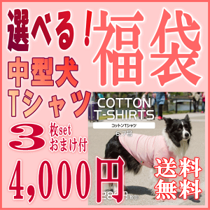 【バレンタインクーポン♪】福袋 Tシャツ 犬服 中型犬 綿100% VERY 3枚セット うれしいおまけ付き あす楽対応 ドッグウェア ブランド 6号 サイズ 犬 の 服 かわいい 犬 服 オーガニック 着せやすい