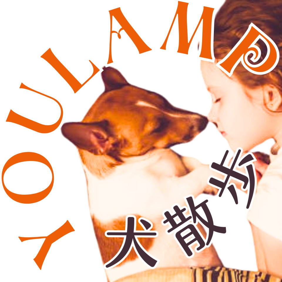 犬　散歩　ユウランプ