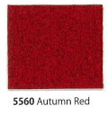  EgXG[h&reg;XL@5560 Autumn Red