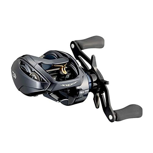 ダイワ(DAIWA) 21 スティーズ A TW HLC 6.3L