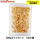 ジャイコーン 500g ソルト味 ビールのおつまみに【合計金額3,980円以上(税込)で送料無料！(沖縄・離島・一部地域を除く)】