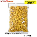 ジャイコーン 500g カレー味 ビールのおつまみに【合計金額3,980円以上(税込)で送料無料！(沖縄・離島・一部地域を除く)】