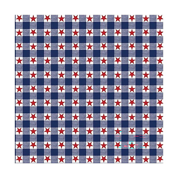 #218314ハブアハンク HAV-A-HANKバンダナ (PATRIOTIC CHECK) B22AME-000594 55×55cm 【メール便対応/1件7枚まで】