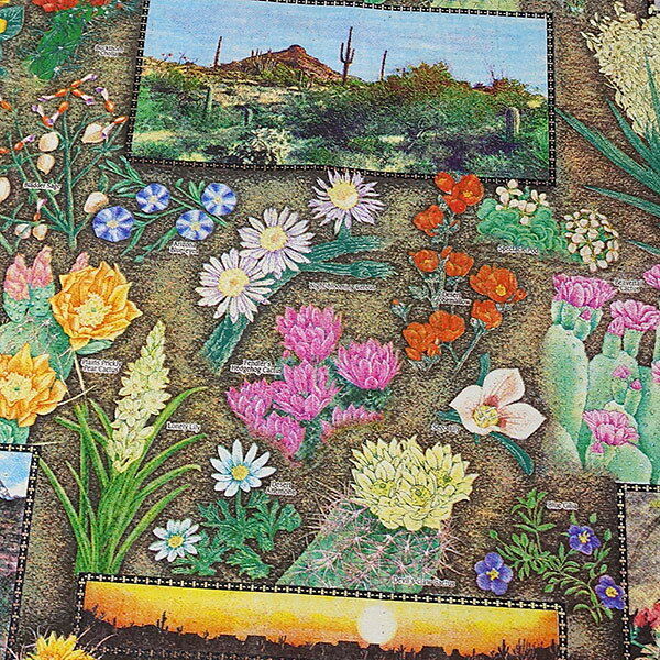 #138007ザ・プリンテッドイメージ THE PRINTED IMAGE バンダナ DESERT WILDFLOWERS...