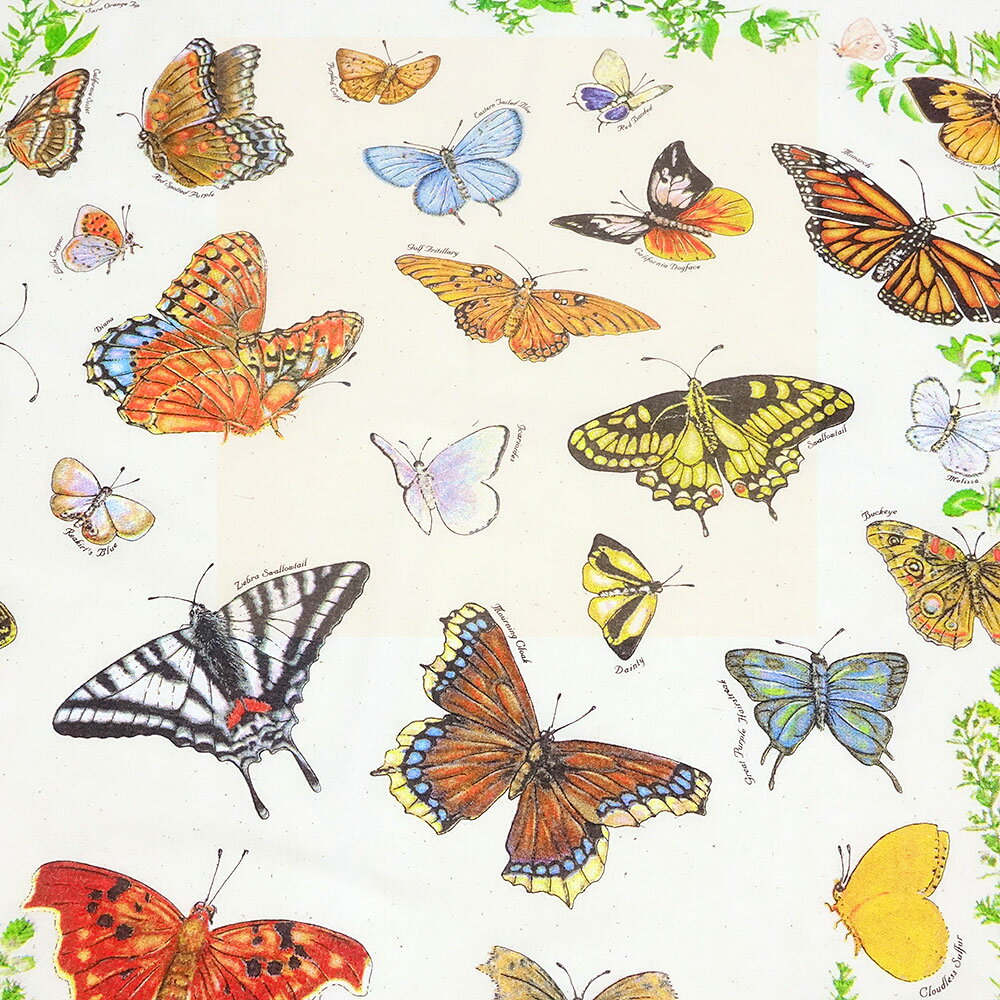 #138008ザ・プリンテッドイメージ THE PRINTED IMAGE バンダナ BUTTERFLIES / バタ...