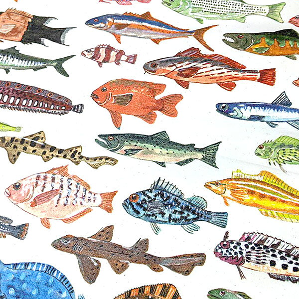 #138009ザ・プリンテッドイメージ THE PRINTED IMAGE バンダナ PACIFIC COAST FISH...