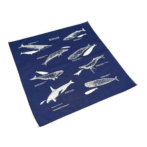 #138013ザ・プリンテッドイメージ THE PRINTED IMAGE バンダナ WHALES / ホエール...