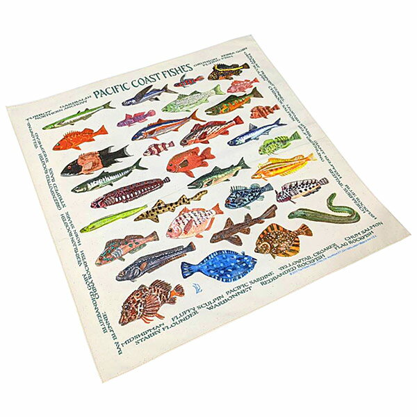 #138009ザ・プリンテッドイメージ THE PRINTED IMAGE バンダナ PACIFIC COAST FISHES / パシフィックコーストフィッシーズ 55×55cm 【メール便対応】