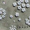 nana kara（ナナカラ）3Dパーツ フラワー プルメリア 花 小花 ホワイトフラワー 3Dパーツ 白いお花 ジェルネイル ネイルパーツ アクリルパーツ レジンパーツ 立体ネイル ツイードネイル ツィードフラワーネイル