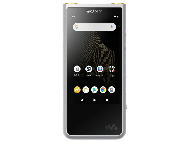 【ポイント5倍】SONY MP3プレーヤー NW-ZX507 (S) [64GB シルバー] [記憶媒体：内蔵メモリ/microSDカード 記憶容量：64GB 再生時間：20時間 インターフェイス：USB2.0 Type-C] 【楽天】 【人気】 【売れ筋】【価格】