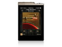 【ポイント5倍】COWON MP3プレーヤー PLENUE D2 PD2-64G-GB [64GB Gold Black] [記憶媒体：内蔵メモリ/microSDカード 記憶容量：64GB 再生時間：45時間 インターフェイス：microUSB2.0] 【楽天】 【人気】 【売れ筋】【価格】