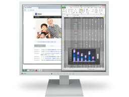 【ポイント10倍】 【代引不可】EIZO 液晶モニタ・液晶ディスプレイ FlexScan S1934-TGY [19インチ セレーングレイ] 【P10倍】