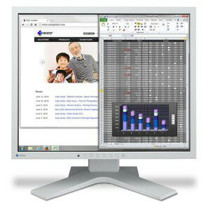 【ポイント10倍】 EIZO 液晶モニタ・