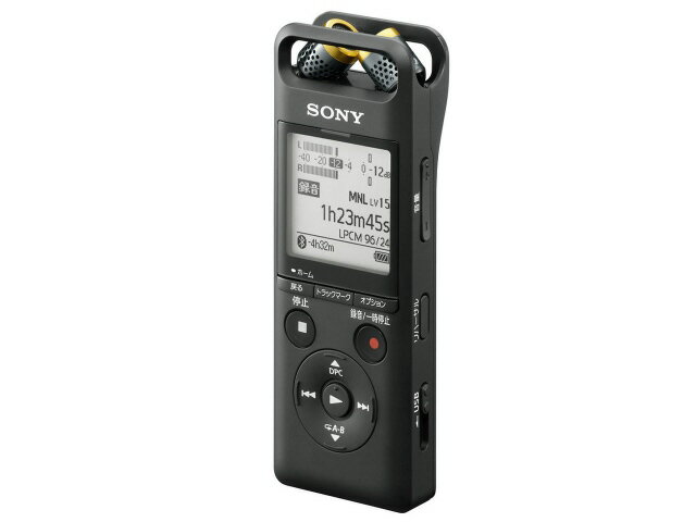 ڥݥ10ܡ SONY IC쥳 PCM-A10 [¢꡼̡16GB Ͽ֡636 ӻ³()25 ӻ³(ԡ)10 ӻ³(ۥ)25] P10ܡ