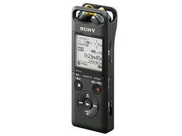 【ポイント10倍】 SONY ICレコーダー PCM-A10 [内蔵メモリー容量：16GB 最大録音時間：636時間 電池持続時間(再生)：25時間 電池持続時間(スピーカー再生)：10時間 電池持続時間(イヤホン再生)：25時間] 【P10倍】