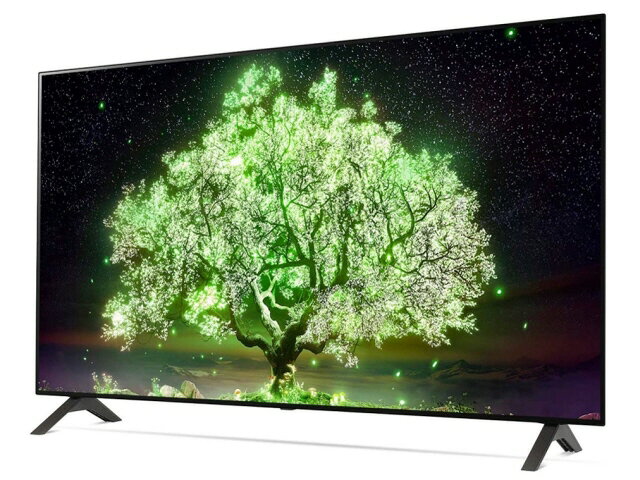 LGエレクトロニクス 薄型テレビ・液晶テレビ OLED48A1PJA [48インチ] [画面サイズ： ...