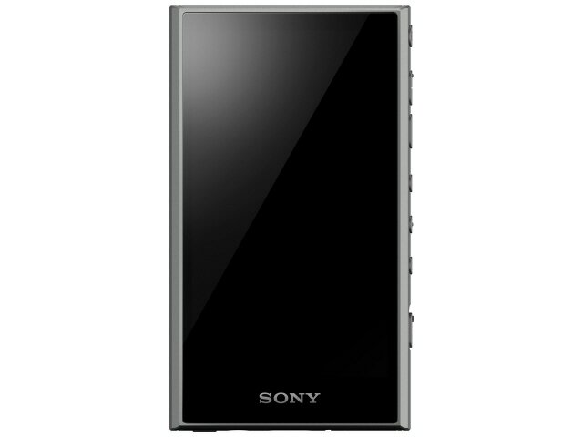ڥݥ10ܡ SONY ǥ륪ǥץ졼䡼(DAP) NW-A306 (H) [32GB 졼] [Ρ¢/microSD ̡32GB ֡36 󥿡եUSB3.2 Gen1 Type-C ϥ쥾 ȥ꡼ߥ󥰥ӥб...