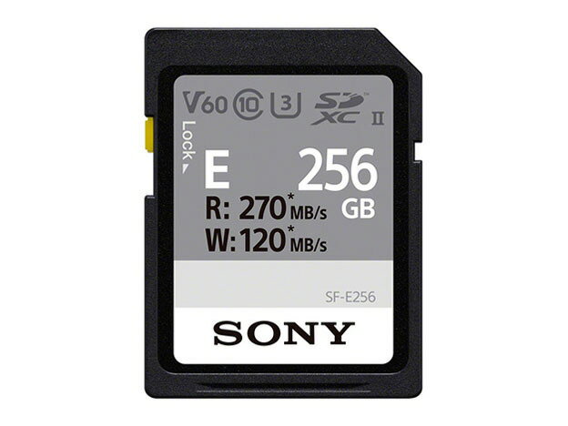 ڥݥ10ܡ SONY SD꡼ SF-E256 [256GB] P10ܡ