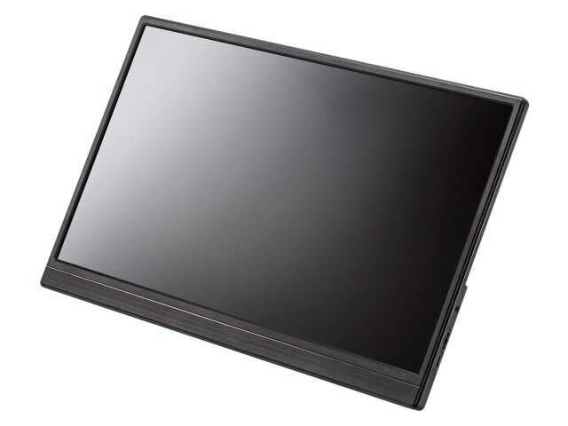 【ポイント10倍】 サンワサプライ PCモニター・液晶ディスプレイ DP-06 [15.6インチ] 【P10倍】