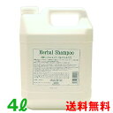 yzԐn[oVv[ 4L 4000ml lւp tB Herbal Shampoo(lߑւ A A~m_ wAJ[ p[} Ƃ Ȃ₩ Ɩp Tꔄi) yct/c1