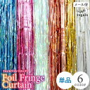 ホイルカーテン フリンジカーテン 誕生日 パーティー 飾り バレンタイン デコレーション 空間デコレーション 飾り付け イベント 背景 バックドロップ backdrop カーテン テープカーテン フォトブース 結婚式 ycp regalo