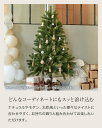 youplus-r:10004090のサンプル画像3