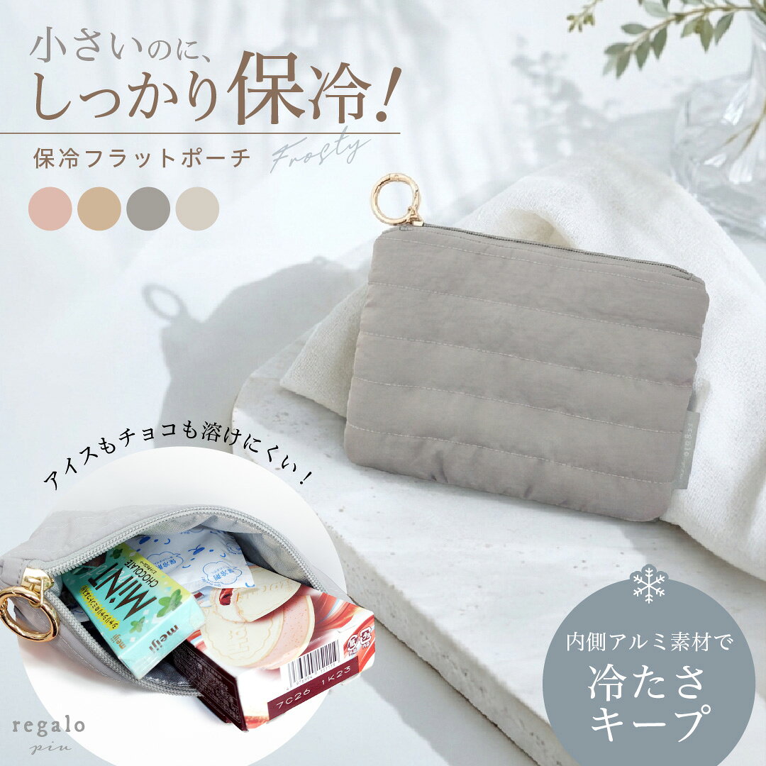 保冷ポーチ 小さめ ミニ お菓子 アイス ゼリー 通勤 通学 お出かけ 溶けにくい コスメ ガジェットポーチ 薄型 アルミ素材 撥水 スリム カラビナ付 フロスティポーチ フラットポーチ regalo piu rv024 youplus-r-10004342 YOU+ パッケージ画像
