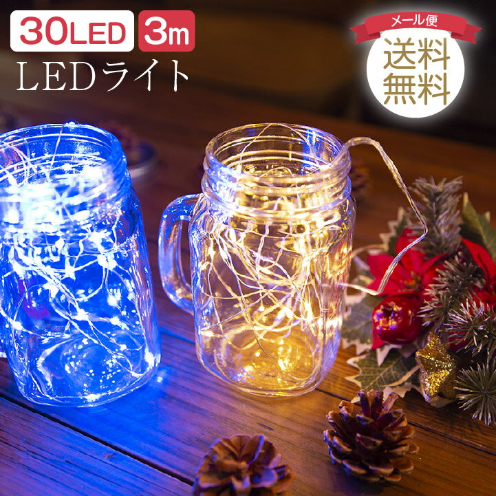 500ߥݥå161:59 LED ɥ饤 ߥ͡ ǥ դ  ѡƥ  Ӽ 磻䡼 ƥꥢ ̲   ե꡼饤 ǥ졼 30 3m ̵ ycp regalo