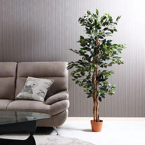 [アウトドア家具] 観葉植物 人工観葉植物 フィカス グリーン インテリア お洒落 質感 お手入れ簡単 フェイクグリーン 幅60cm モダン ナチュラル