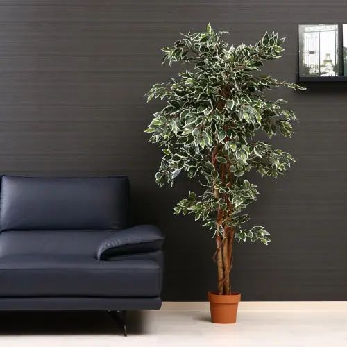 乐天商城 - [リビング収納] 観葉植物 人工観葉植物 フィカス グリーン インテリア お洒落 質感 お手入れ簡単 フェイクグリーン 幅90cm コンパクト
