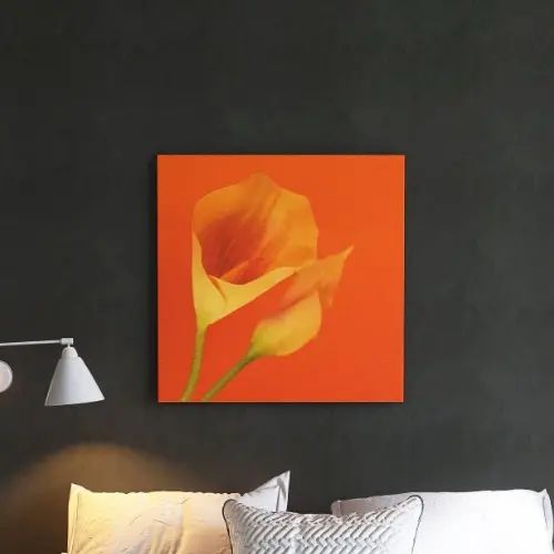 乐天商城 - お部屋の雰囲気を明るく華やかに彩る 花のアートパネル