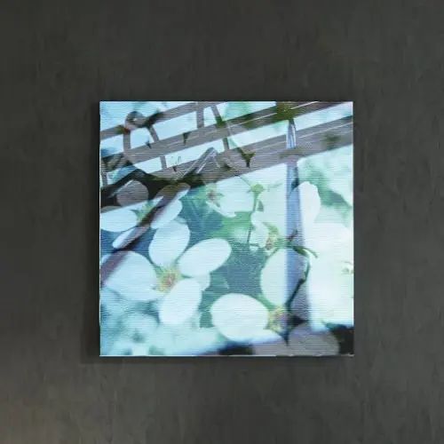 乐天商城 - [30×30]視覚で楽しめる 花の合成アートのファブリックパネル