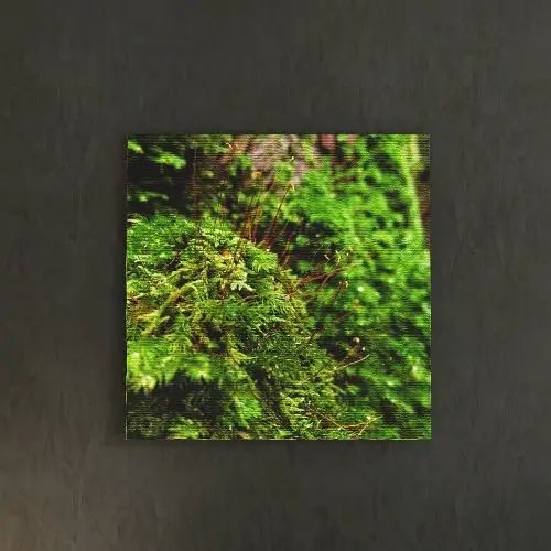 乐天商城 - [30×30]グリーンがよく映えた 風景写真のファブリックパネル