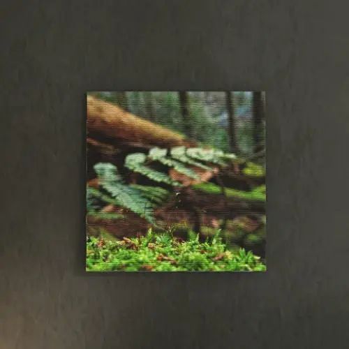 [30×30]大地に芽吹く自然の恵み 風景写真のファブリックパネル