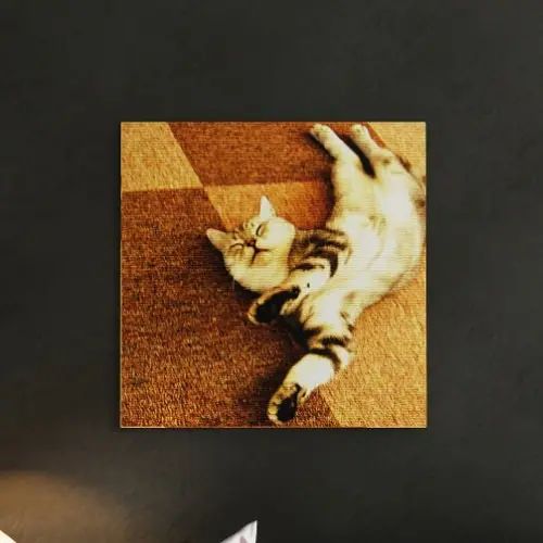 乐天商城 - リラックスした姿の可愛い猫 壁掛けインテリアならファブリックパネル/猫