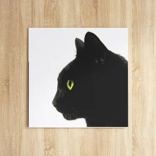 乐天商城 - 真っ白な背景に良く映えたかっこいい表情 黒猫のアートボード