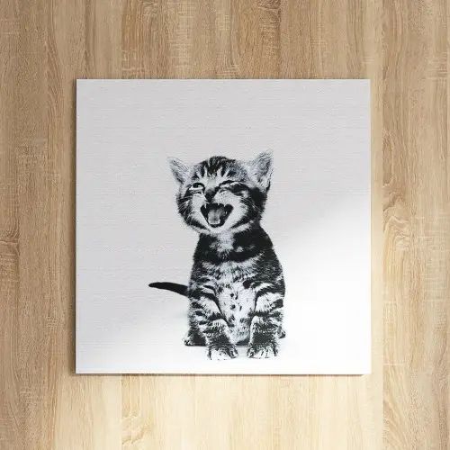 乐天商城 - 子猫の愛くるしさに溢れている 猫のファブリックパネル