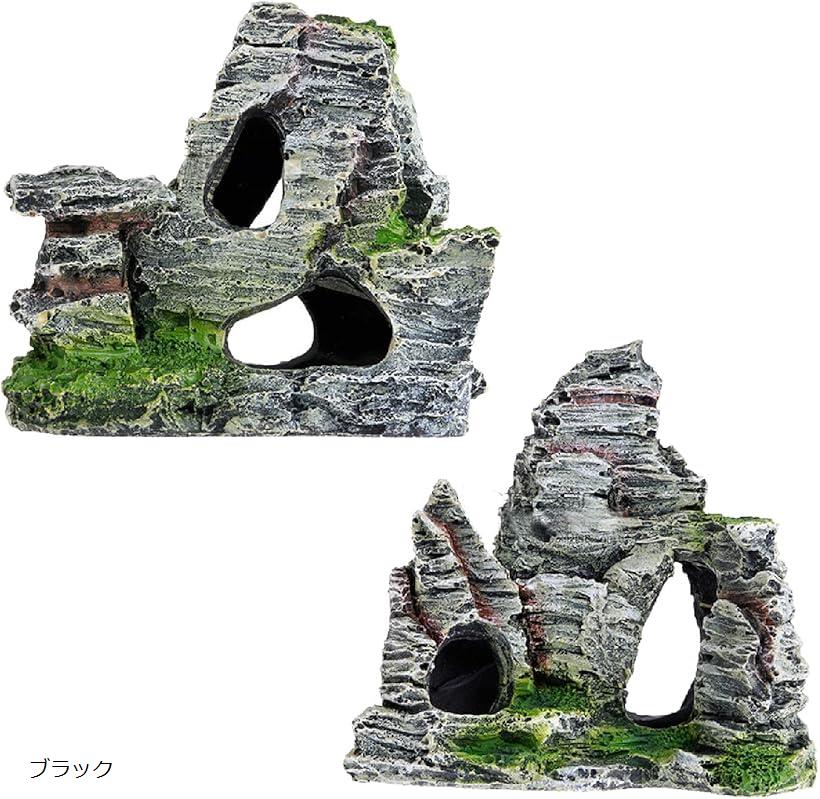ڳŷ󥭥1ޡۿѥʥ  ꥦ Ϸ Ǯӵ     ֥  2糧å (...