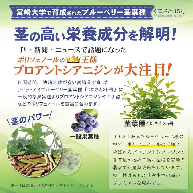 国産 ブルーベリー エキナセア 有機生姜 ビタミンC 酒粕粉末 ビタミンD 茎葉専用種ブルーベリー サプリメント 3袋 180粒 MDM(3袋（180粒）)