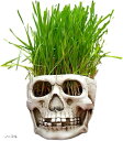 【楽天ランキング1位入賞】ドクロ 植木鉢 プランター インテリア 小物入れ 頭蓋骨 髑髏 骸骨 ガイコツ ノーマル (ノーマル)